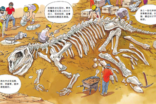 小牛顿科学馆：恐龙-恐龙化石