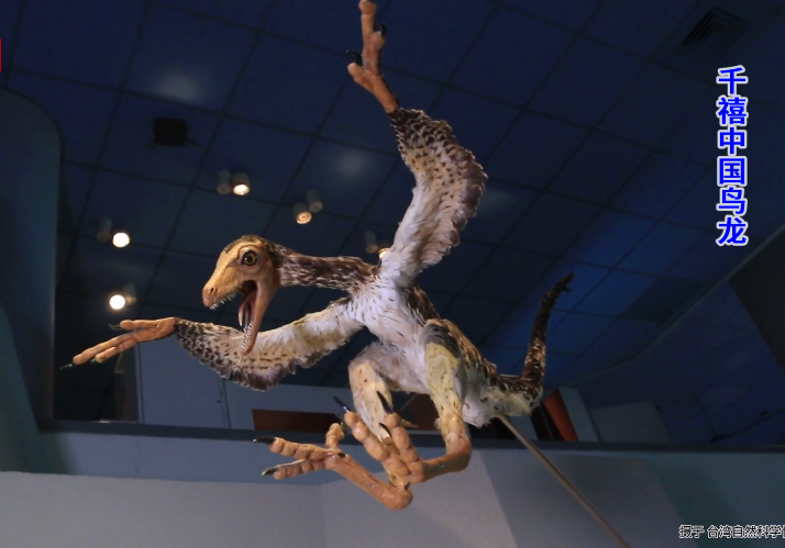 小牛顿科学馆：鸵鸟始祖鸟-恐龙时代的飞行动物