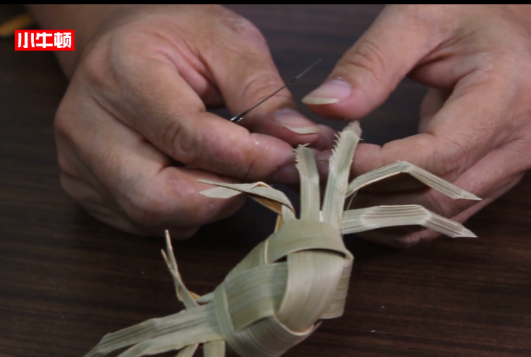 小牛顿科学馆：椰子-用棕榈叶做草编
